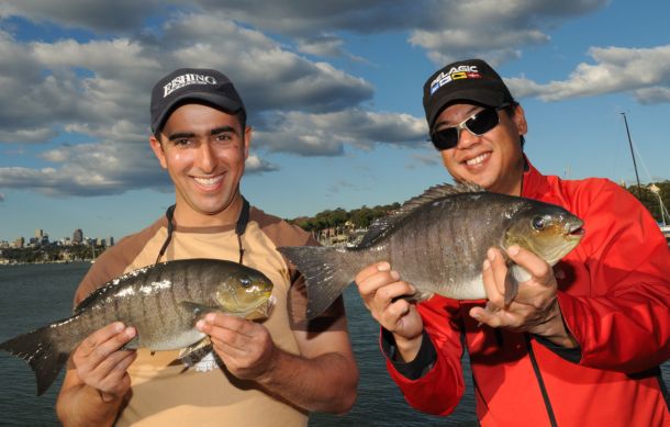 Opinion: “Evidence” points to effectiveness of raised size limits